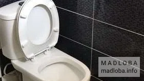 Санузел в номере в хостеле Дареджани
