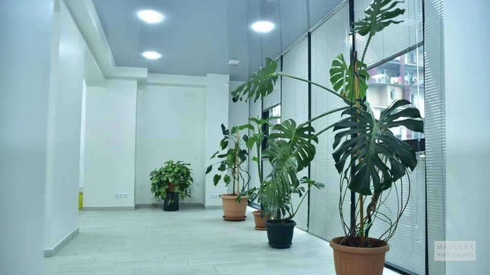 Интерьер в клинике Dental Class