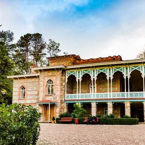 
										Museums of Georgia