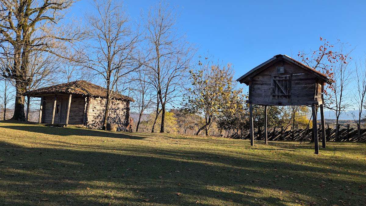 🏠 История музея: От родового дома до культурного центра