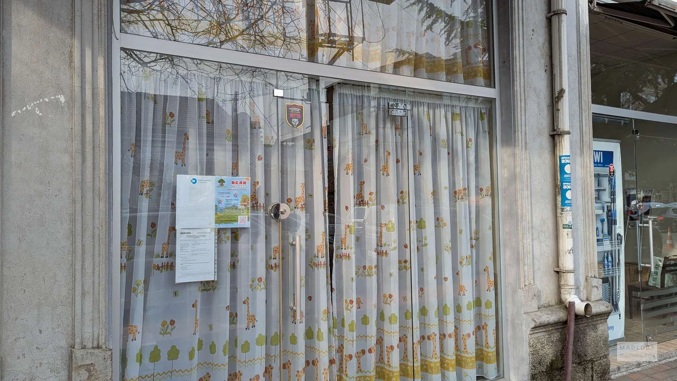 Дом на дереве - ясли в Батуми