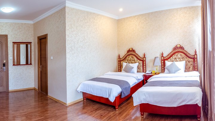 Dormitory Hualing Tbilisi Hotel