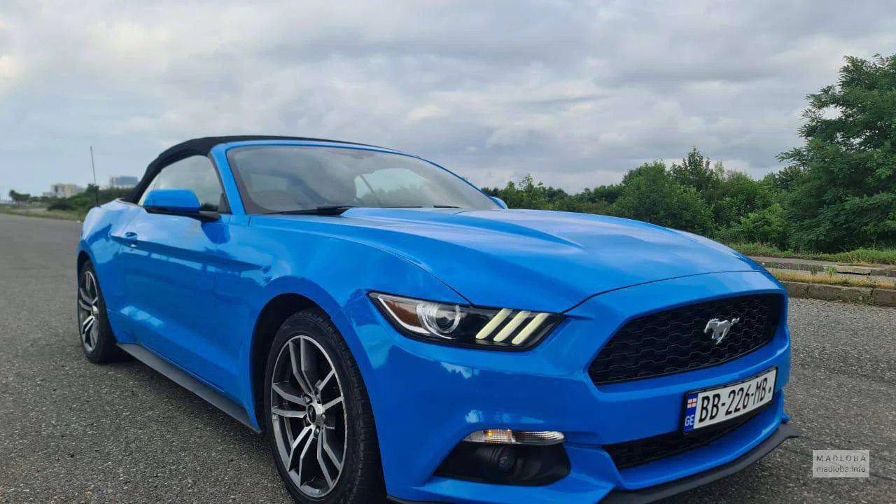 Авто на прокат "Dream Car Rent"