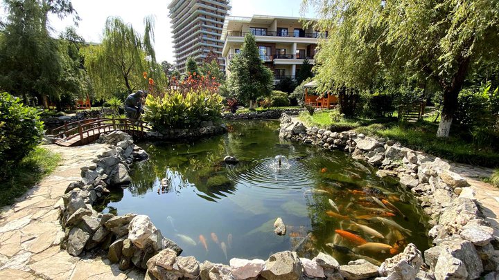 Apartments in "Dreamland Oasis" (Чакви)