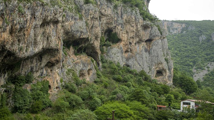ძევრის სახიზარი
