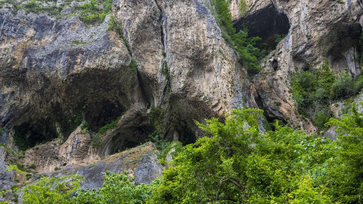 ძევრის სახიზარი