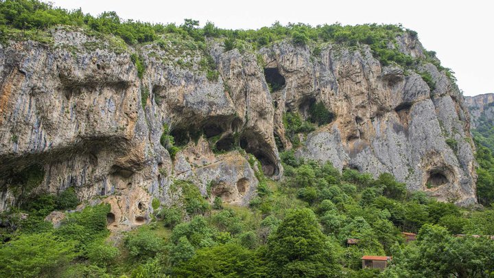 ძევრის სახიზარი