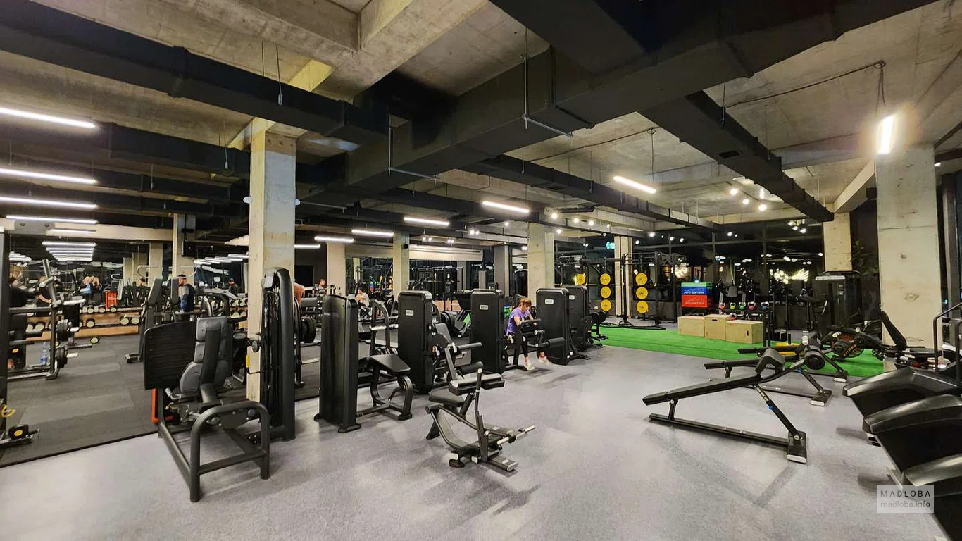 Fit Factory