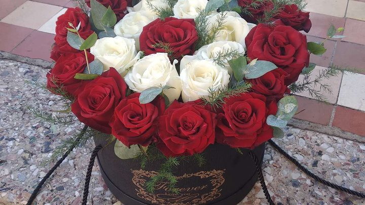 Flowers Vardi