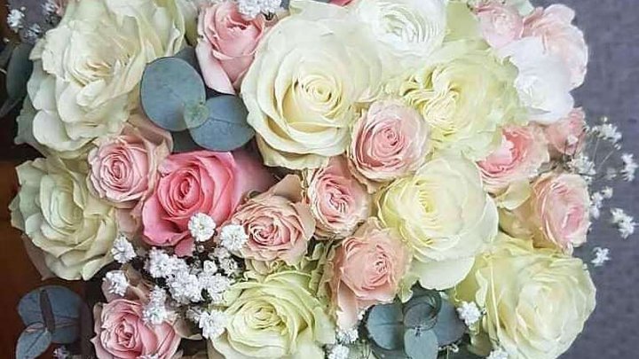 Flowers Vardi