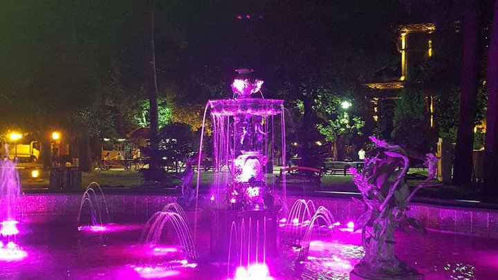Fountain near the poultry house