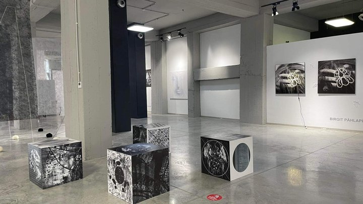 Gallery Gamrekeli