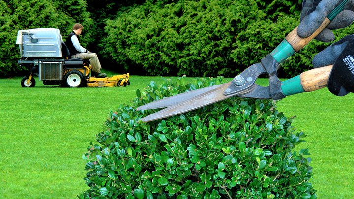 Garden Service