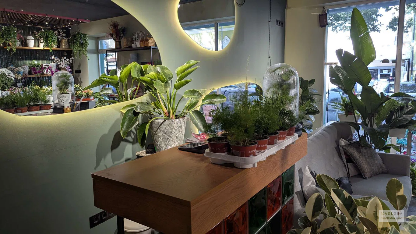 Geo botanic
