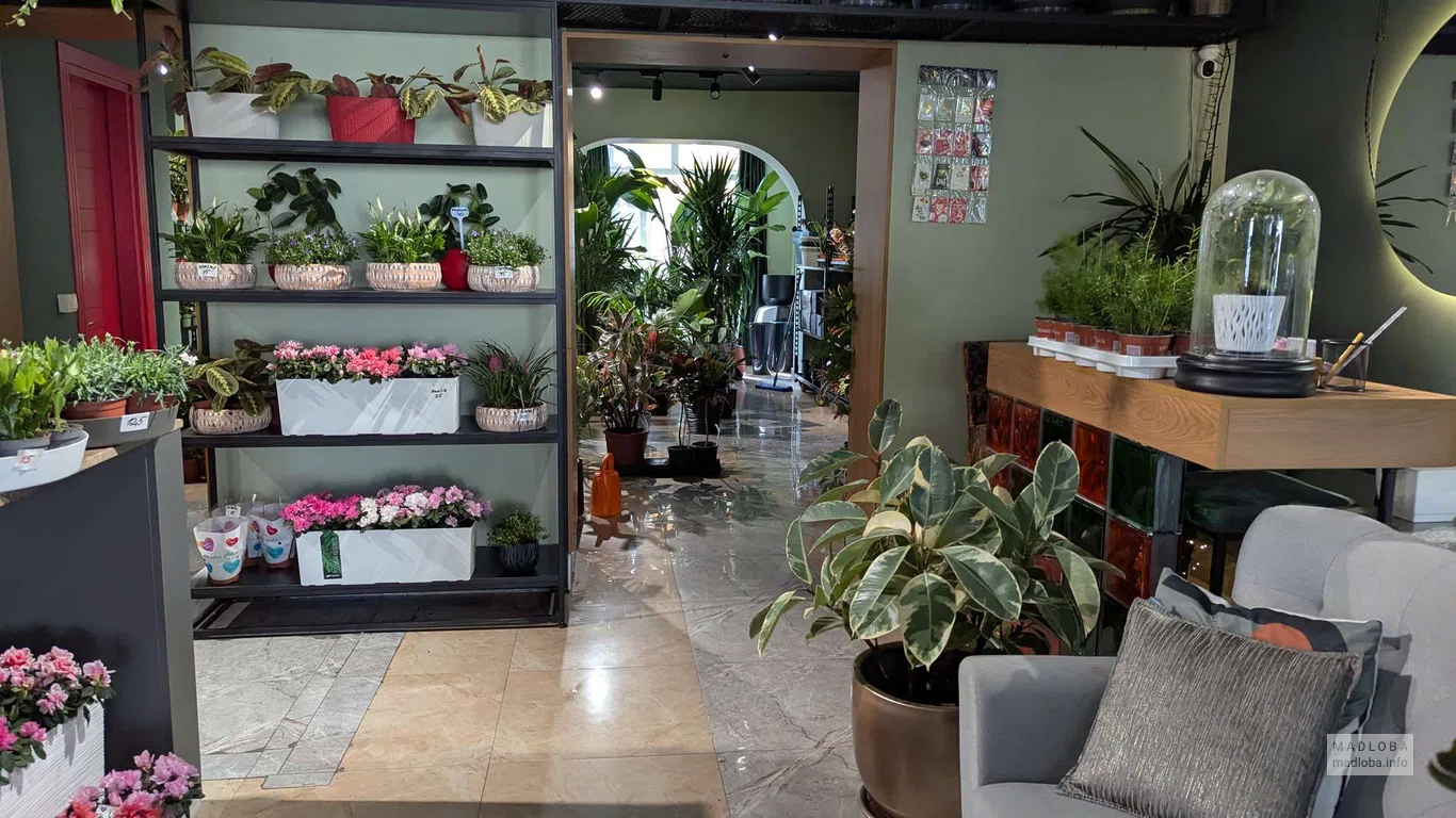 Geo botanic