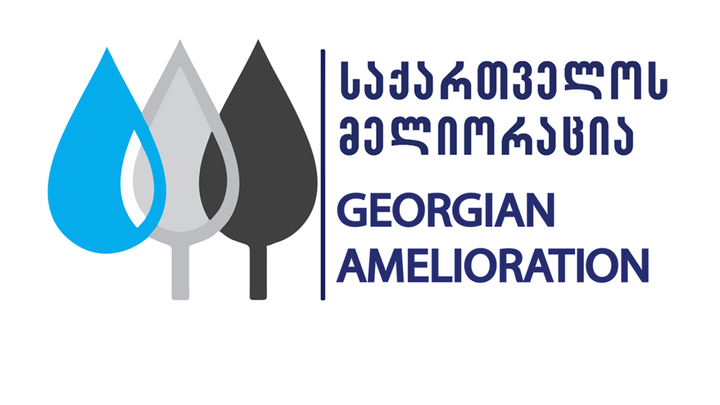 ქართული მელიორაცია