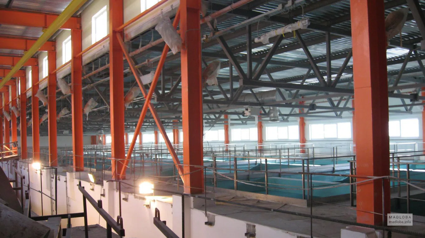 Завод Georgian Branch of Tahal Consulting Engineers Ltd