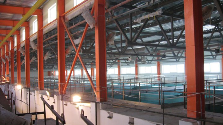 Грузинский филиал "Tahal Consulting Engineers Ltd."