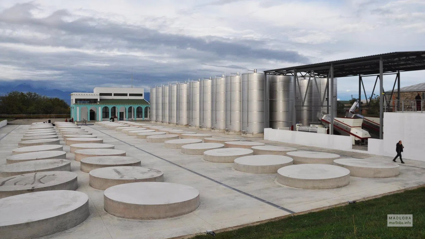Производство вина в Georgian Wine Bank