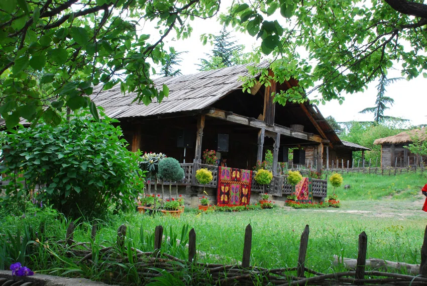 Экспонат в Giorgi Chitaia Open Air Museum of Ethnography