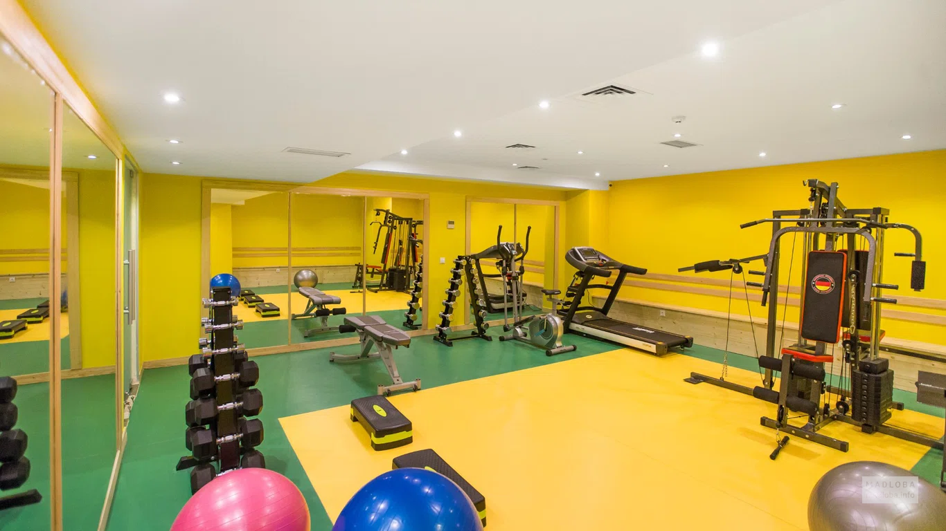 Спортивный зал в Gold Tbilisi Hotel