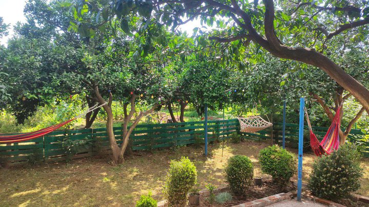 Guest house "U Zura"