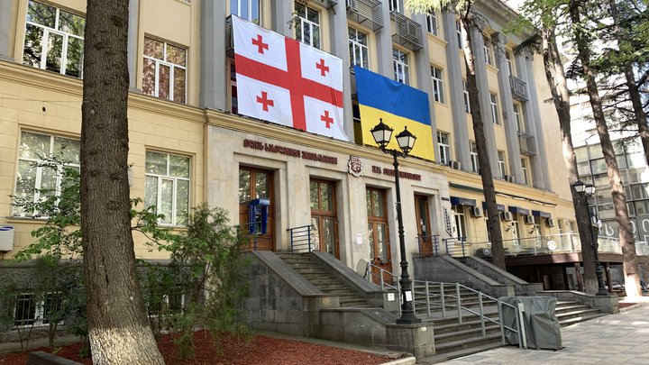 Ilia State University