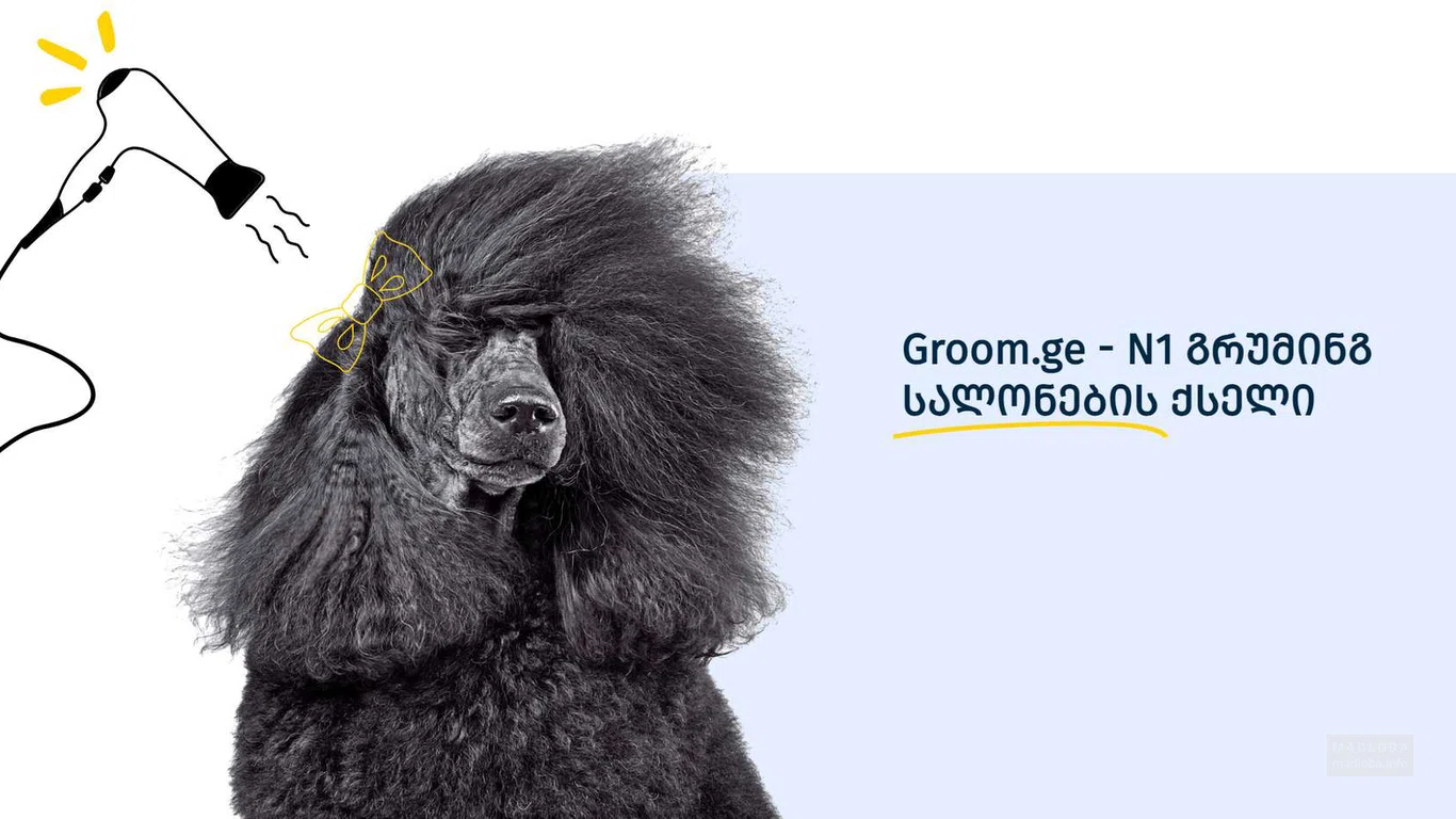 Groom (კეკელიძის ქ.)