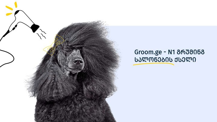 Groom (კეკელიძის ქ.)
