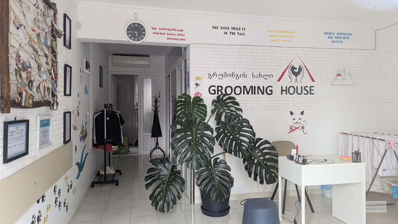 Салон для животных Grooming House в Батуми