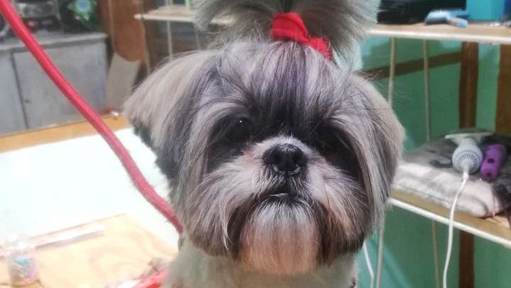 Baby's Grooming
