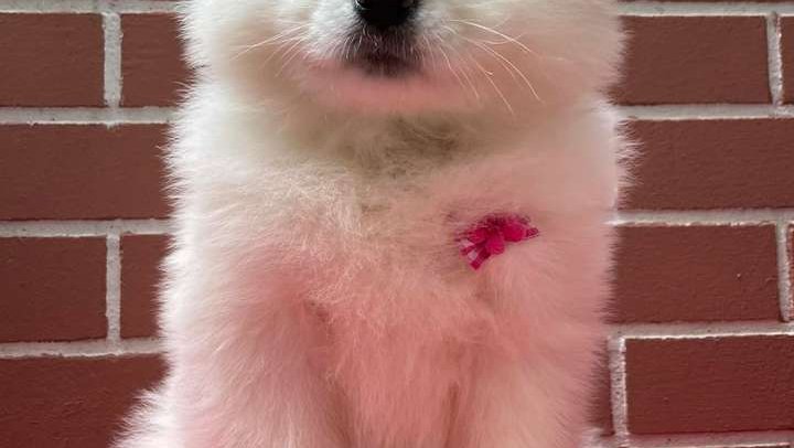 Baby's Grooming