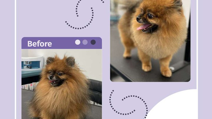 Woofy