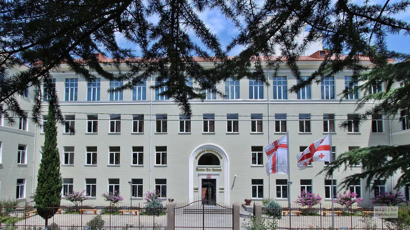 Грузинский университет имени святого Андрея Первого Патриархата Грузии