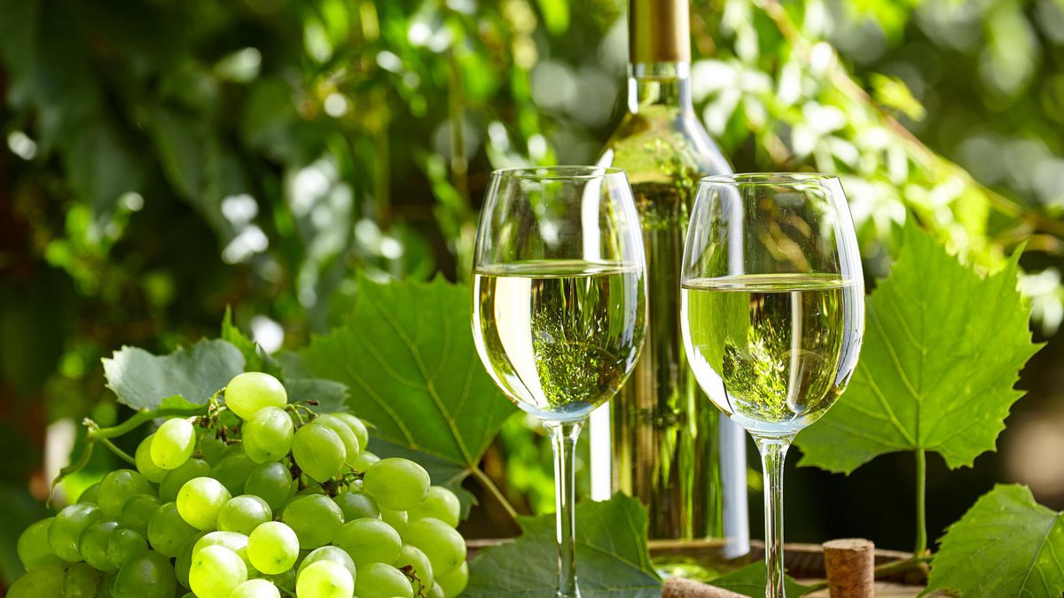 Wine-making Georgia
