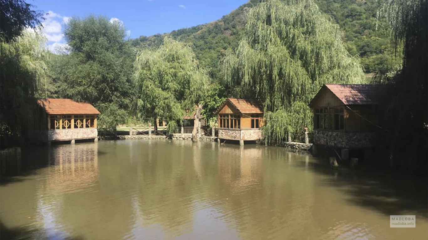 Туристическая фирма "Gudauritours"