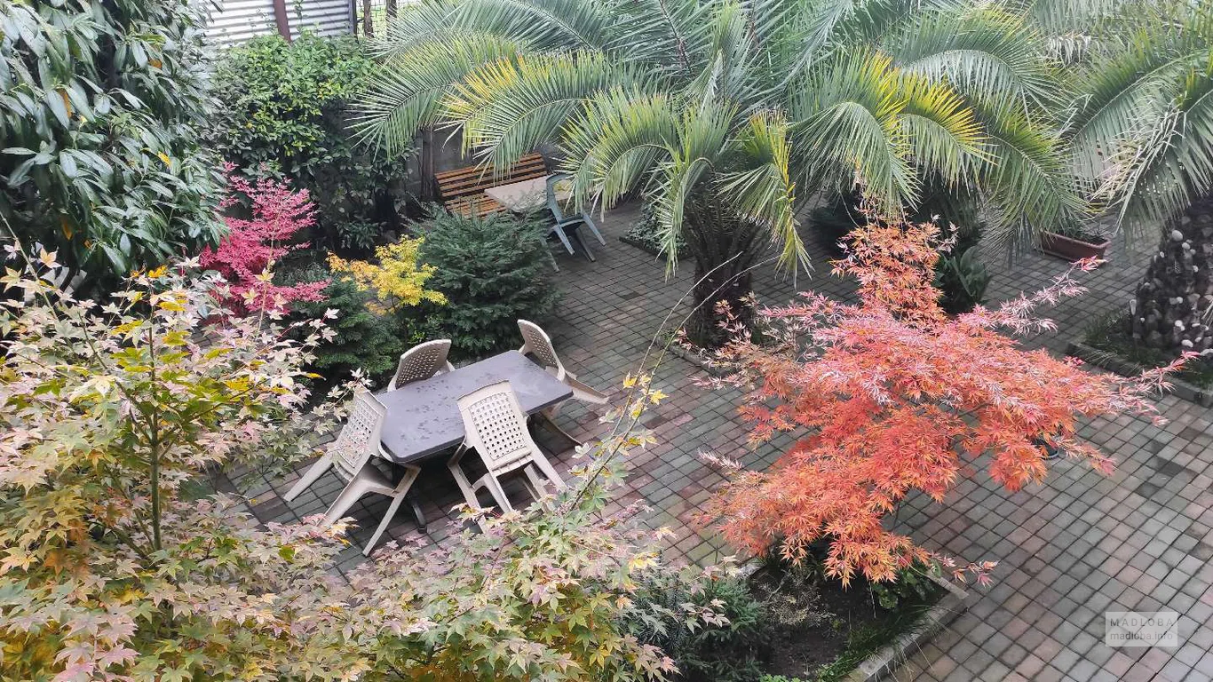 Guesthouse in Batumi 97
