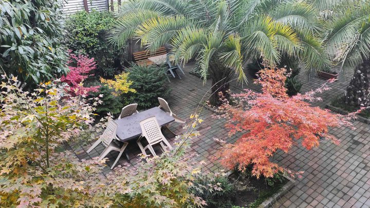 Guesthouse in Batumi 97