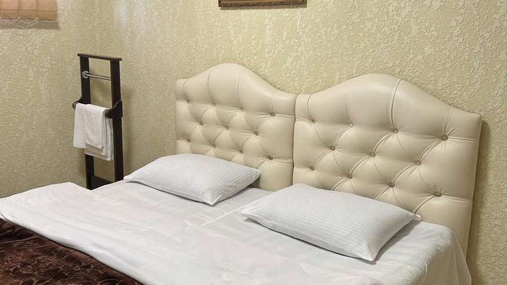 Hotel VLADI