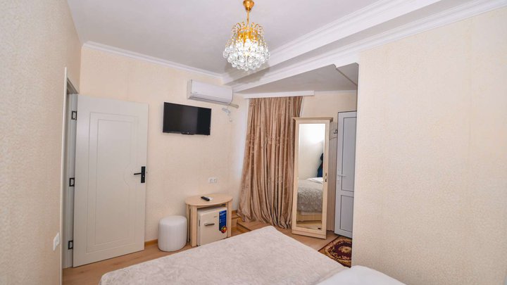 Hotel VLADI