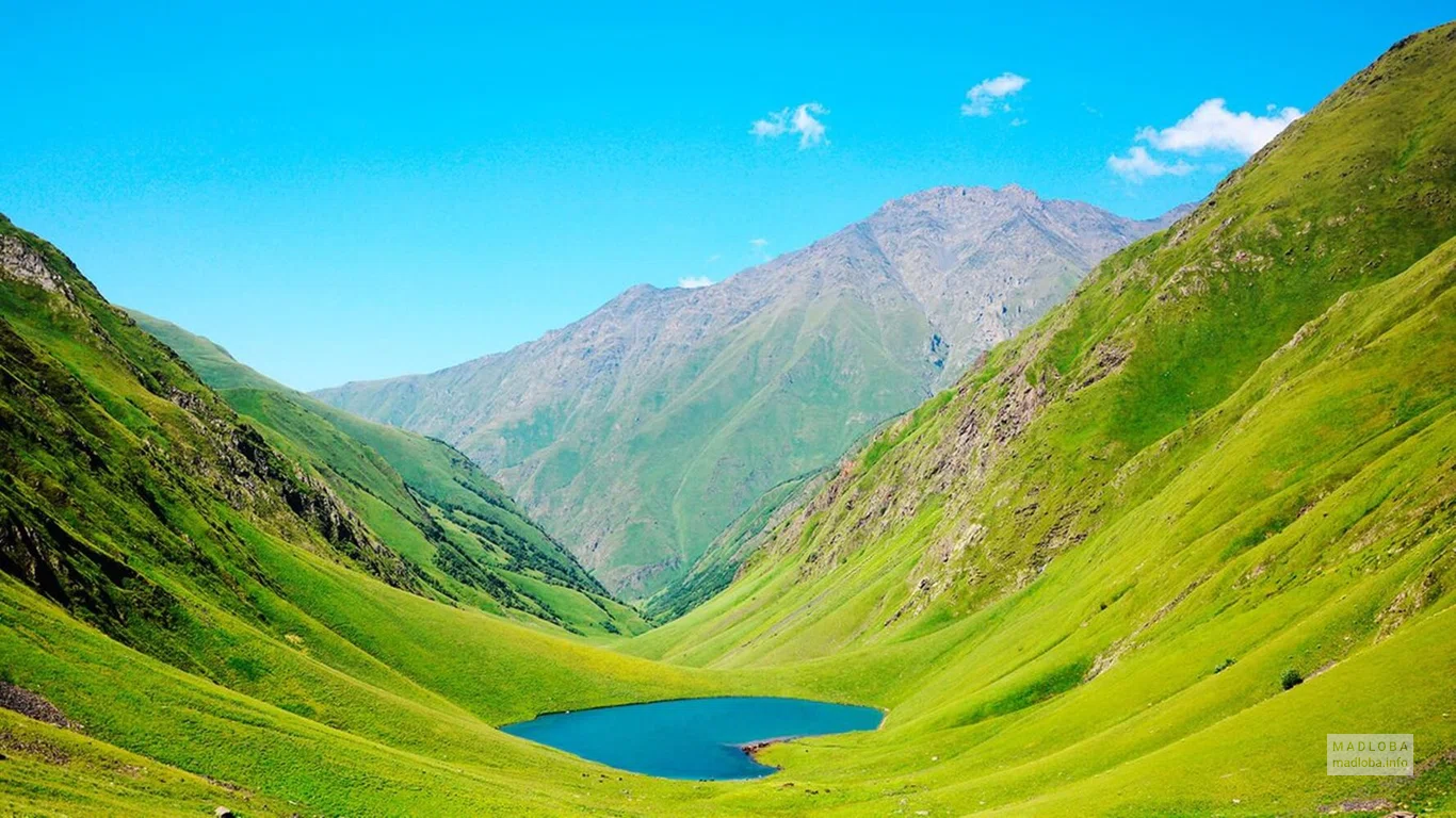 Подножье гор