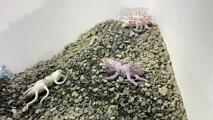 Contemporary Ceramic Gallery