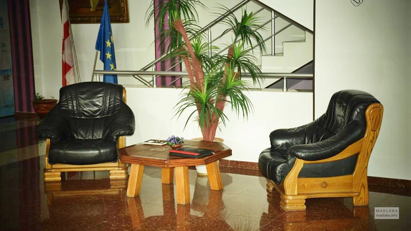 Кресла в холле Hotel Kourosh