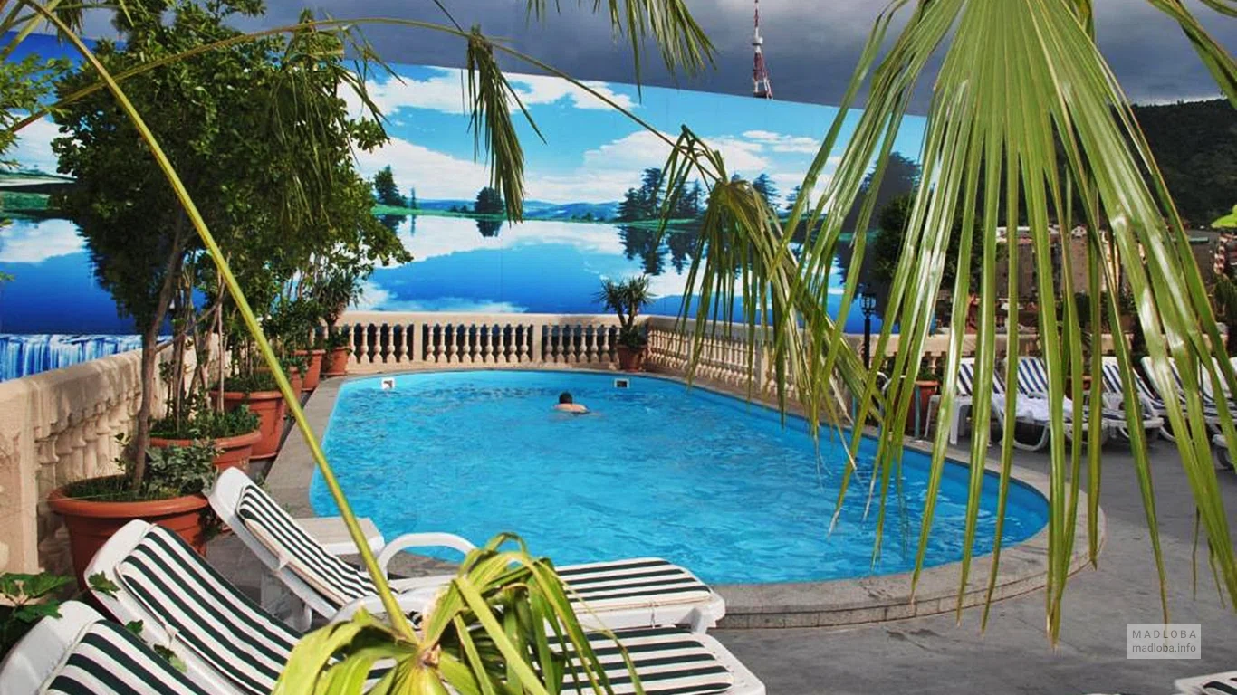 Бассейн в Hotel Vere Palace в Грузии