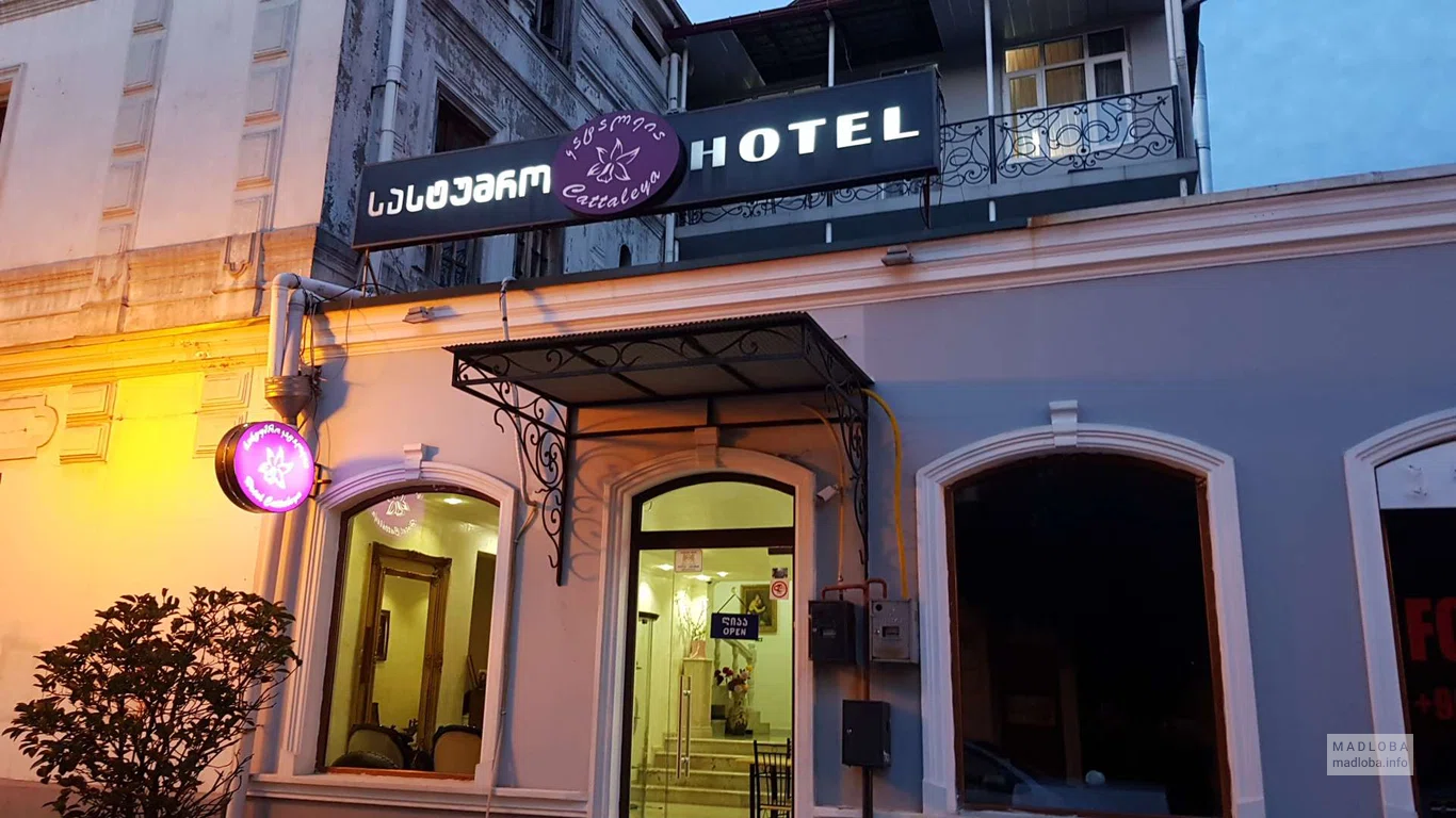 Вид здания Hotel Cattalea