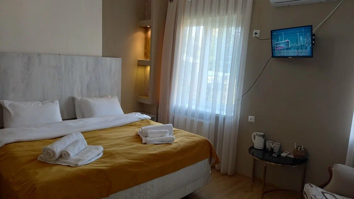 Hotel David