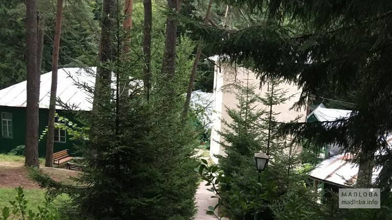 Nunisi forest Hotel& SPA