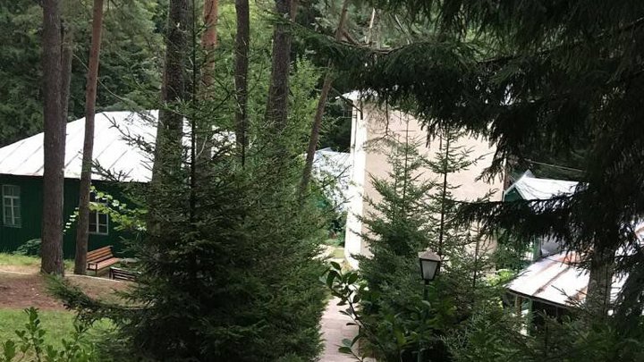 Nunisi forest Hotel& SPA