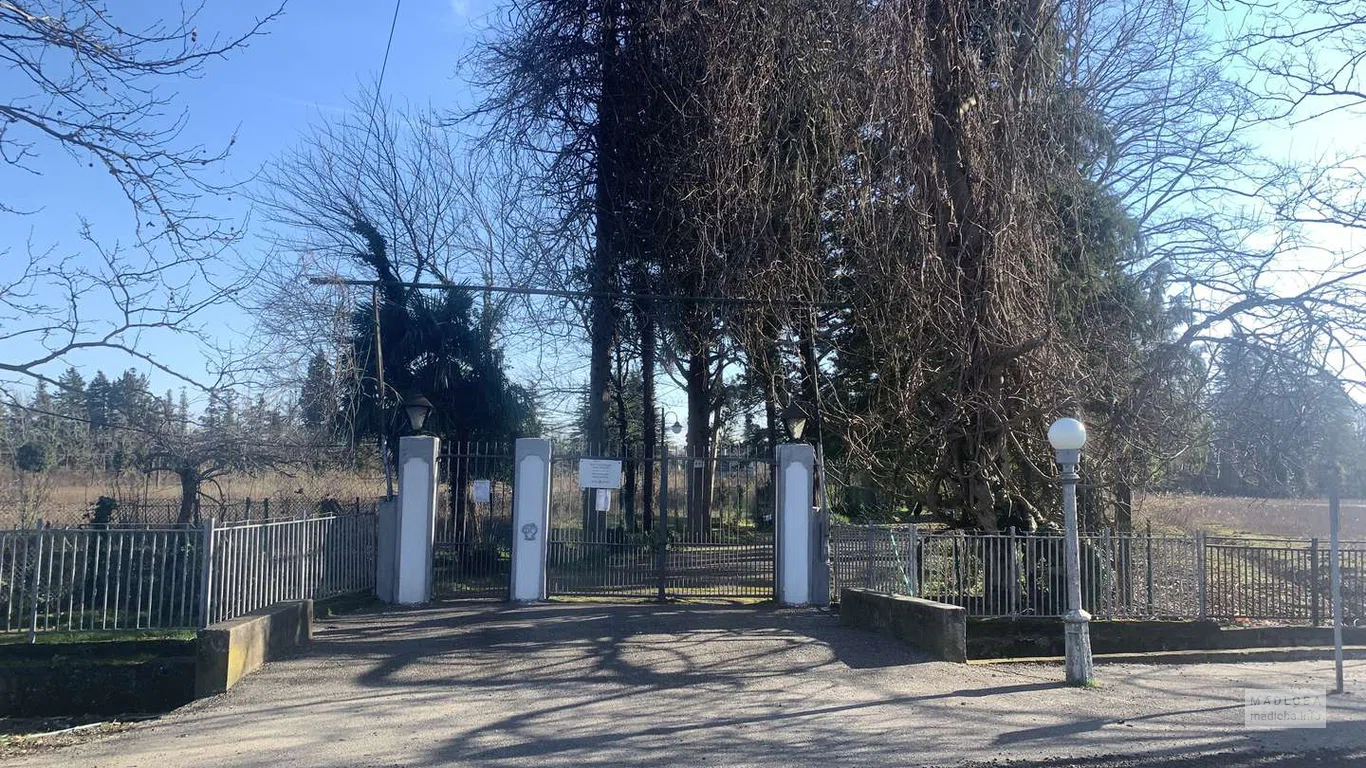 Niko Nikoladze House Museum