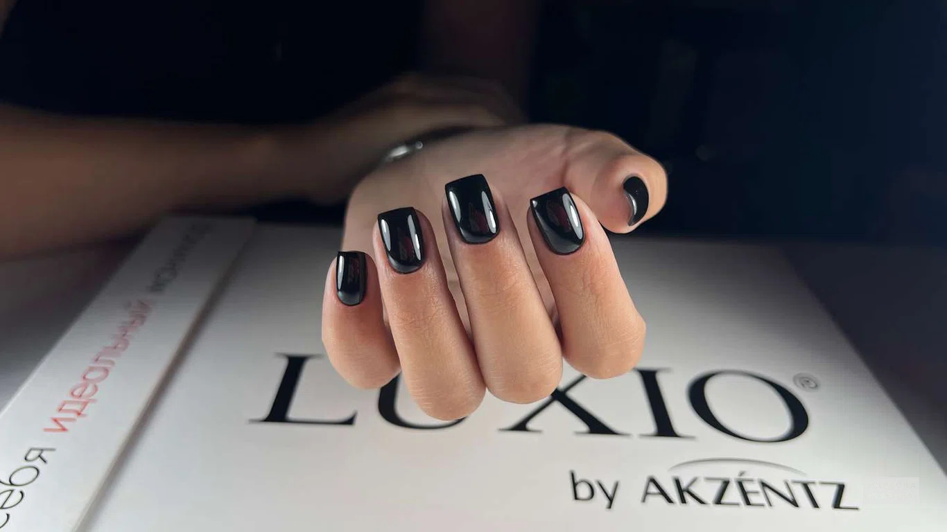 Luxio Trends: Следуя Мировым Тенденциям